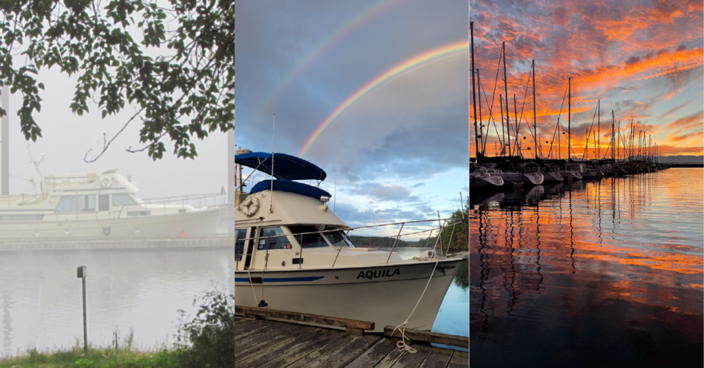 Photo Contest