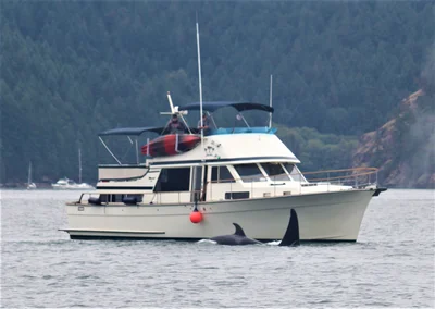 Tollycraft Boating Club About Past Commodores Tolly 48 CPMY Dittoe