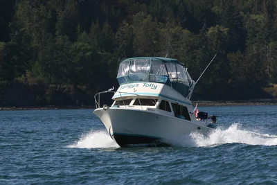Tollycraft Boating Club About Tolly 26 Sedan Talley