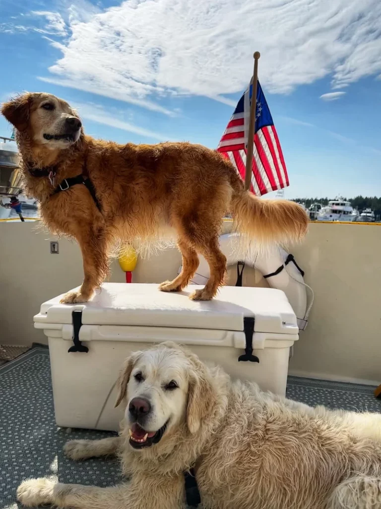 Tollycraft Boating Club Photo Contest